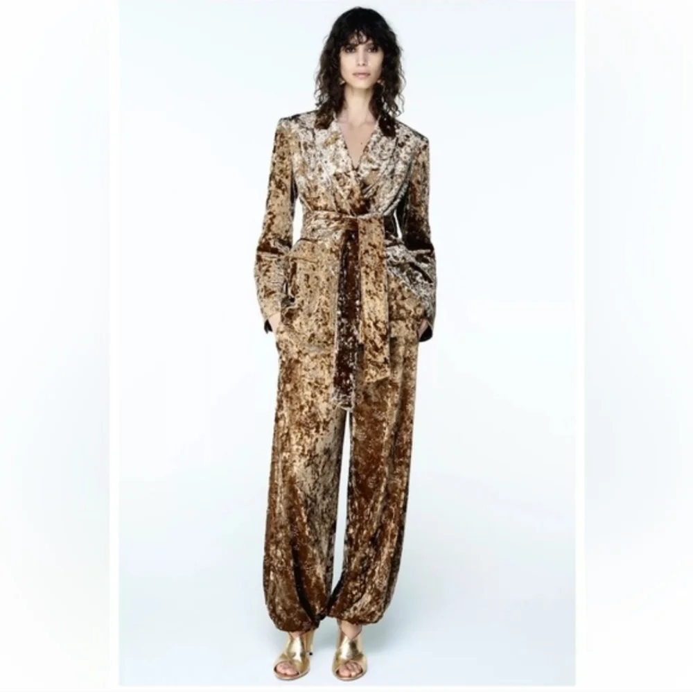 ZARA VELVET BALLOON PANTS